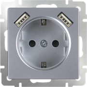 Розетка с заземлением, шторками и USBх2 (серебряный) WL06-SKGS-USBx2-IP20