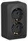 Systeme Electric Blanca наруж Антрацит Розетка 2-ая с/з со шторками 16А,250В, изолир. пластина, BLNRA011216 - фото 109575